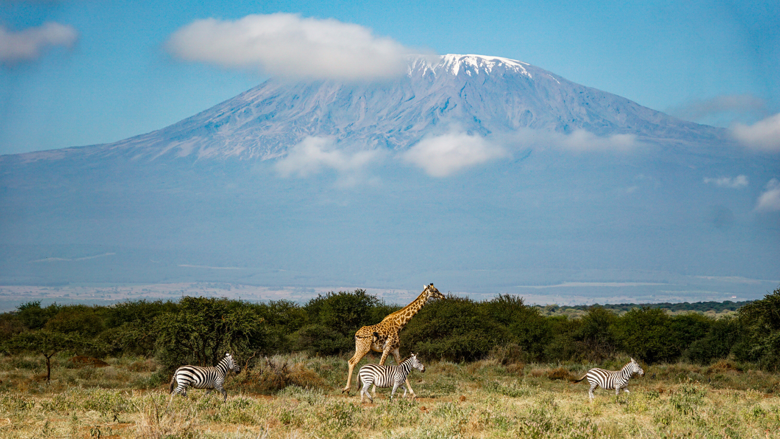 amboseli national park