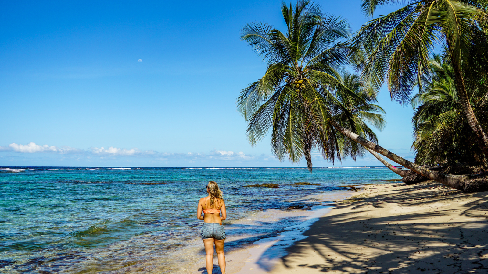 bocas del toro