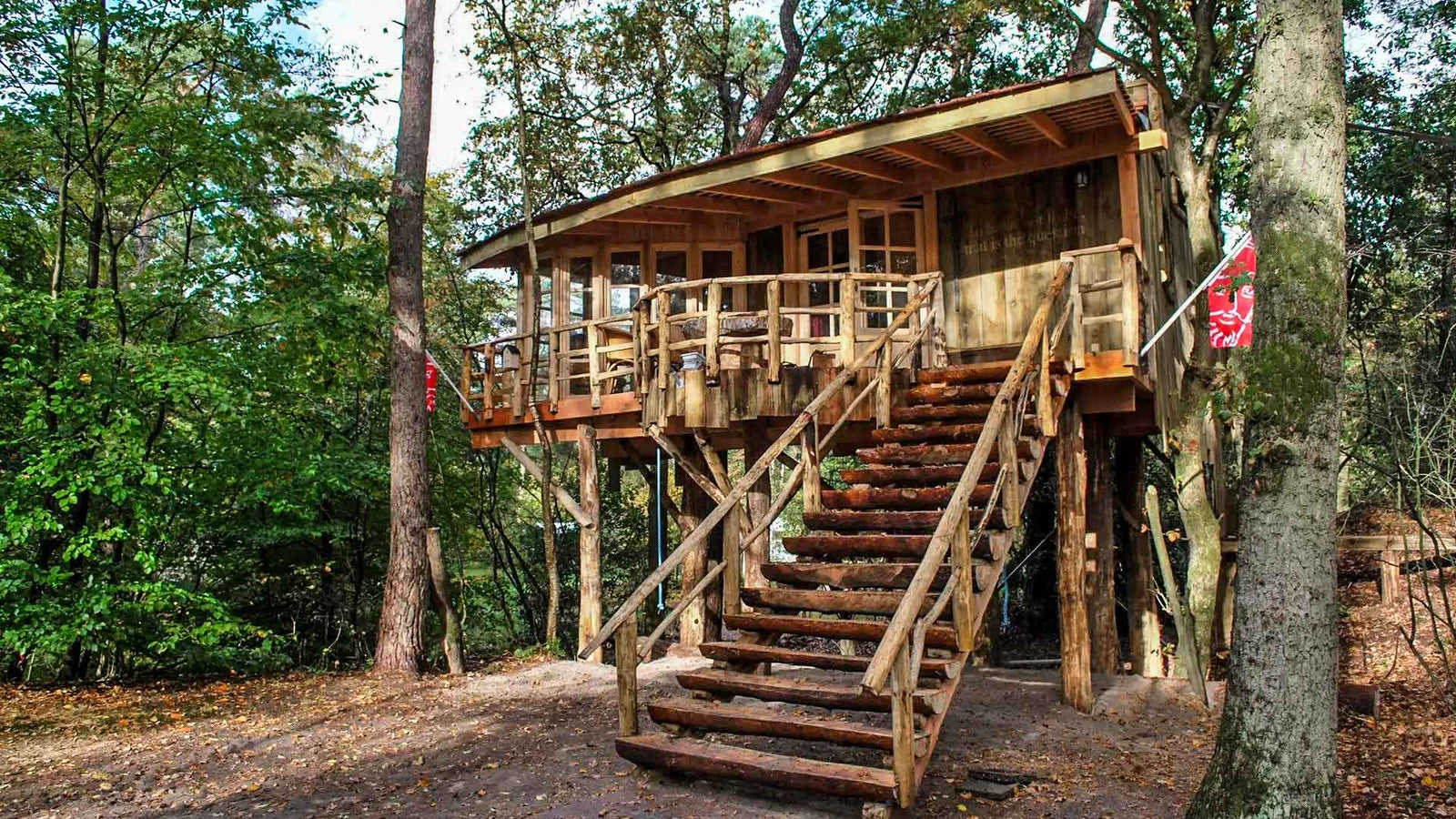 boomhut overnachting