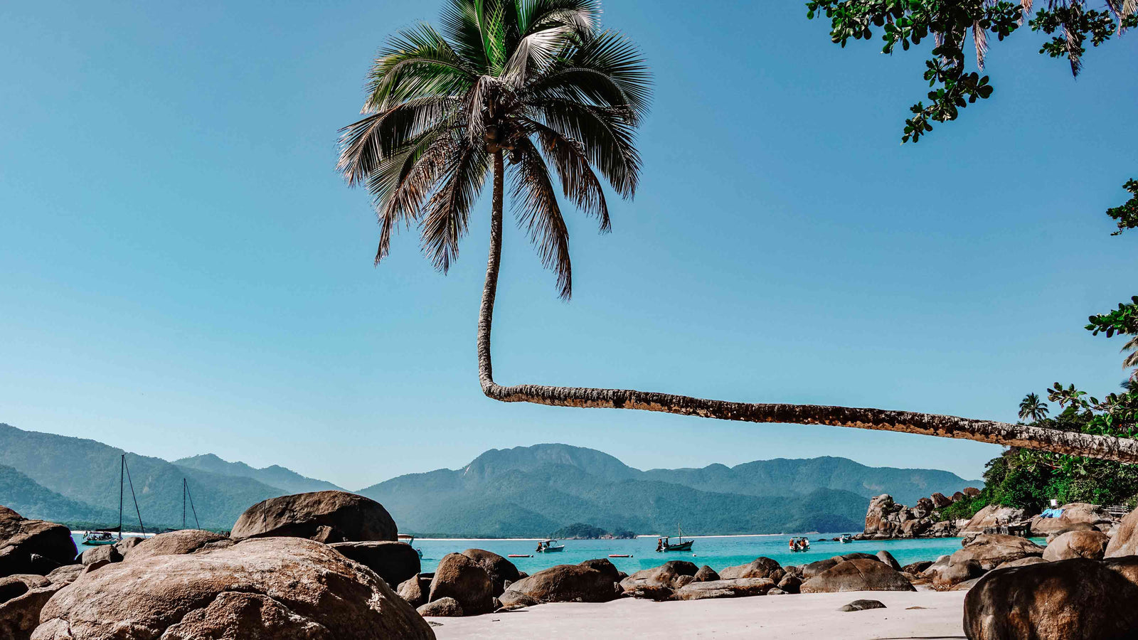 ilha grande