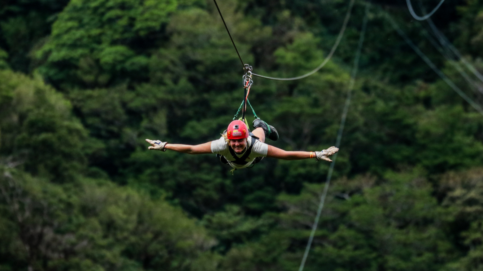 monteverde
