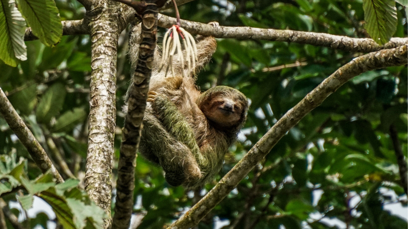 rondreis costa rica