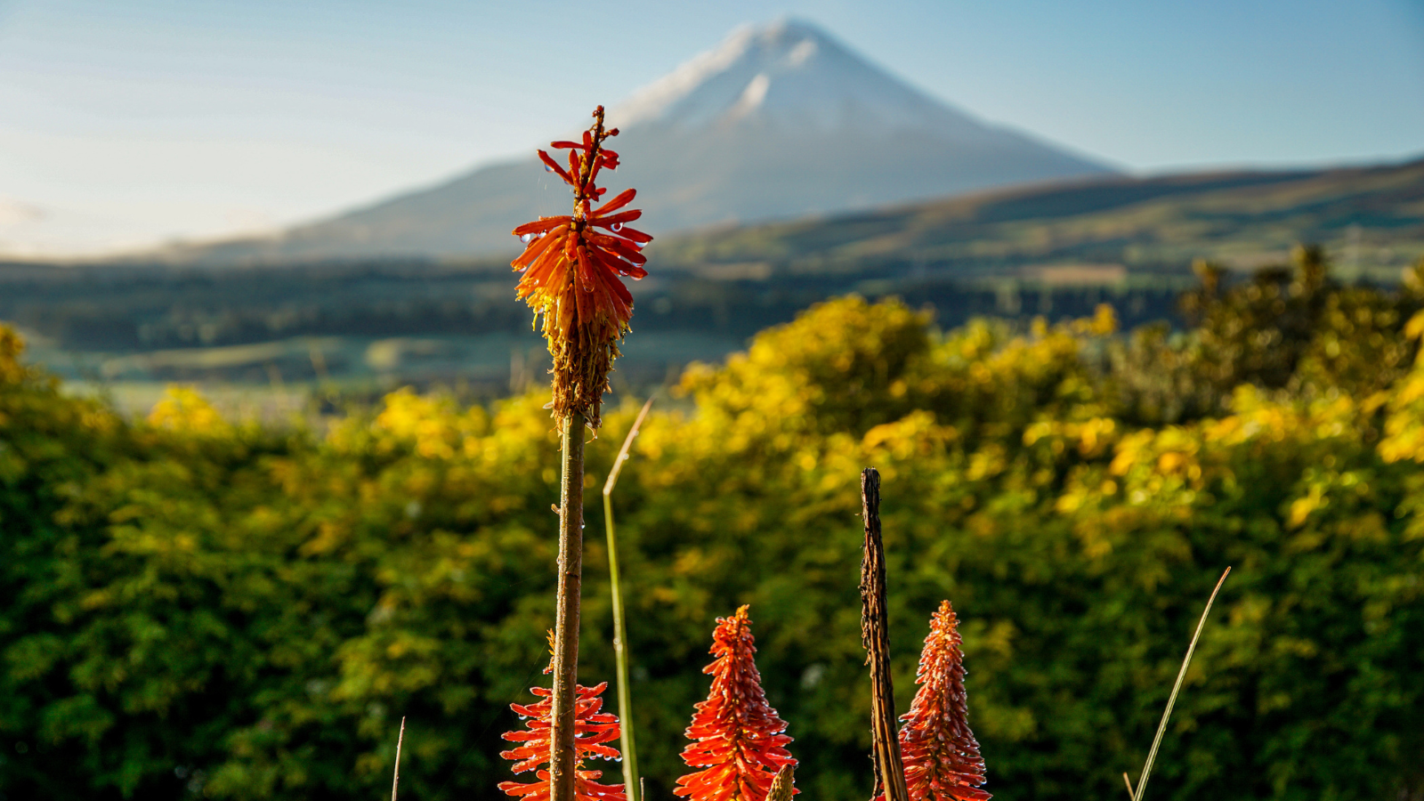 rondreis ecuador