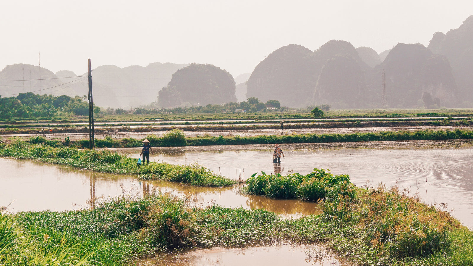 Rondreis Vietnam 3 weken