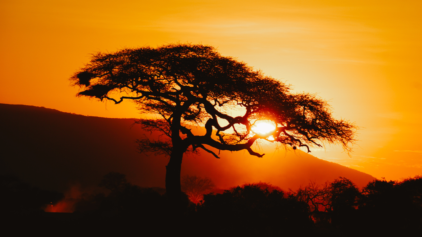 tsavo national park