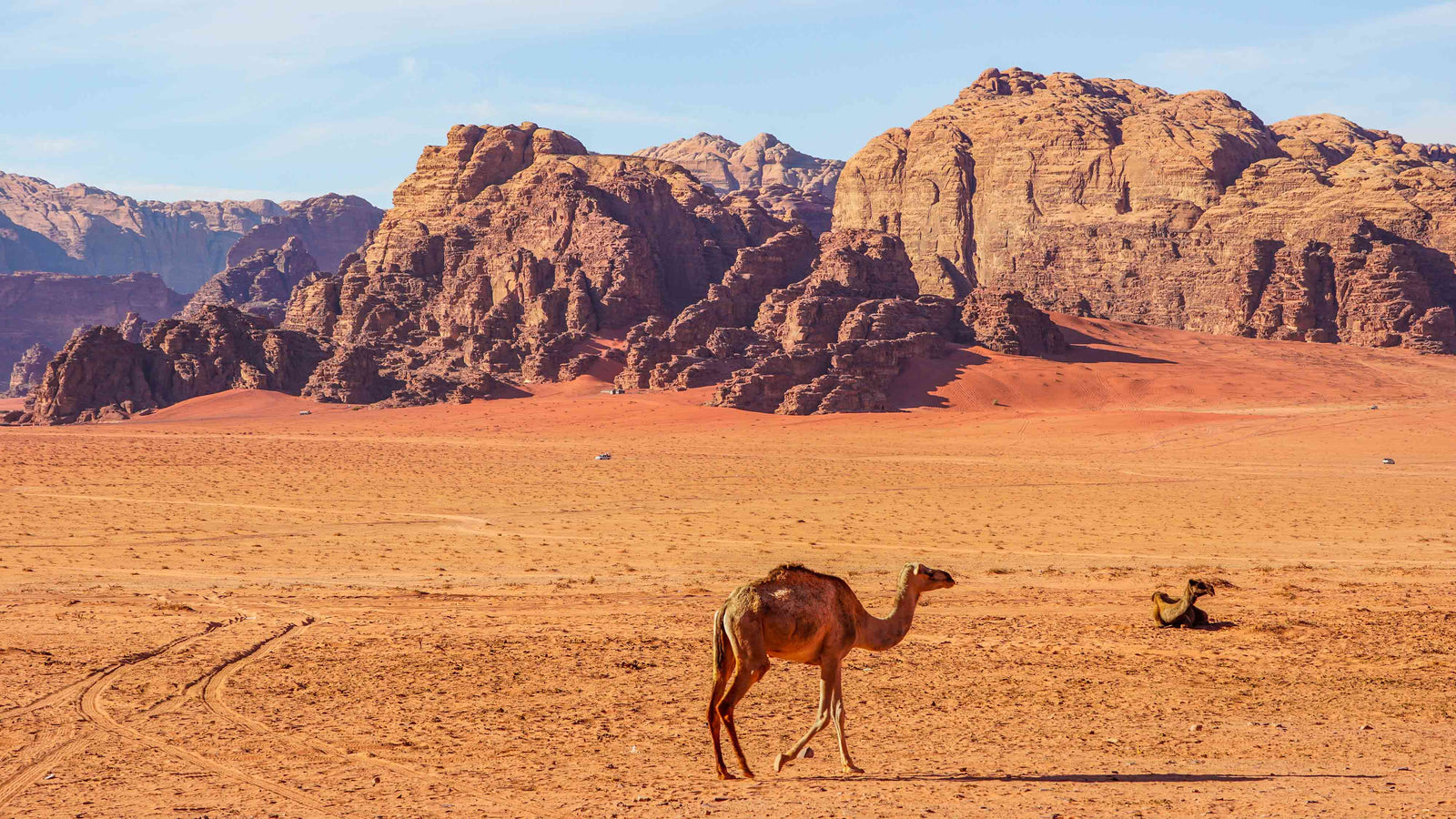 wadi rum jordanie